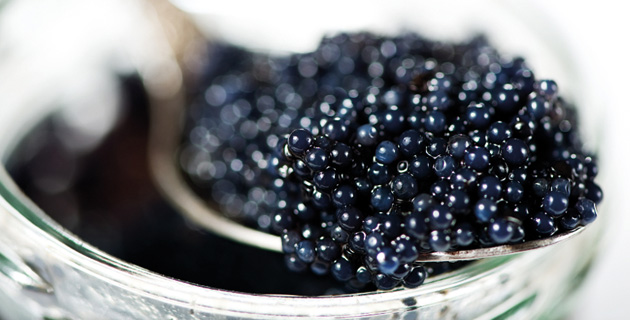 Kaviar – Die wichtigsten Vorurteile und Wahrheiten