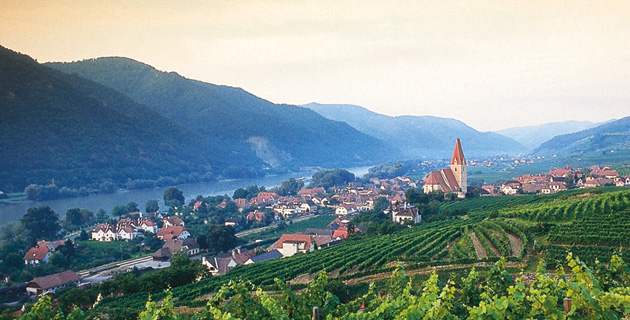 Das Tal der Weissen – Weinwandern in der Wachau