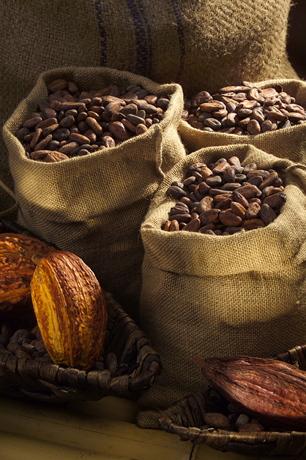 Geröstete Kakaobohnen - von ihrer individuellen Güte hängt die Qualität der Schokolade ab