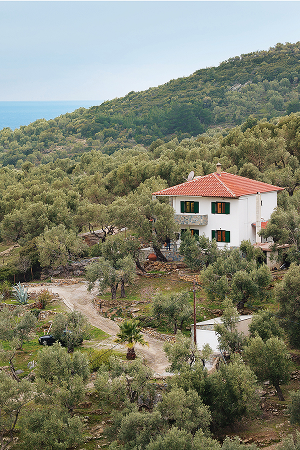 Zwischen Olivenhainen und Mittelmeer