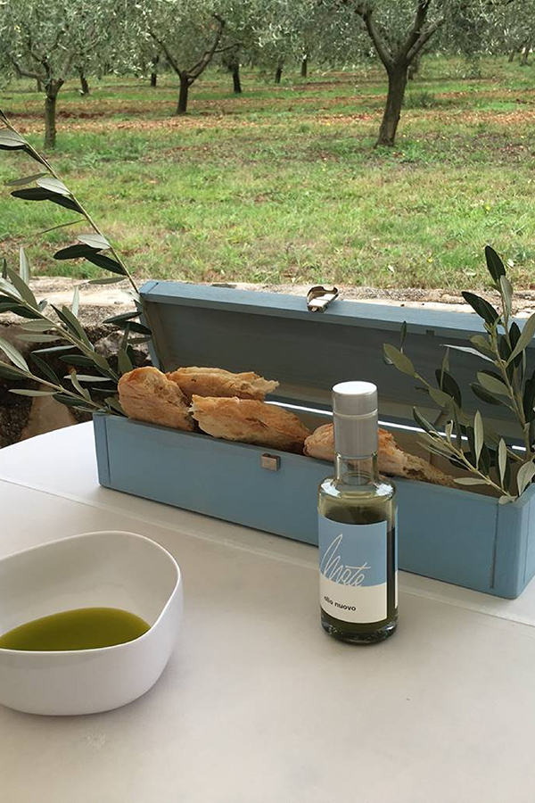 Ein Anblick, der Liebhabern guten Olivenöls das Wasser im Mund zusammenlaufen lassen dürfte... 